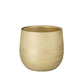 Obal marcus šampaň v19/pr.21cm