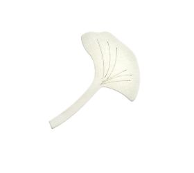Suš. list ginko biely s/10 8x6x0,3cm