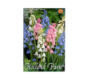 Hyacinthoides mix 10ks