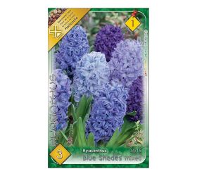 Hyacint blue shades mix 3ks