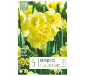 Narcis yellow cherfulness 5ks