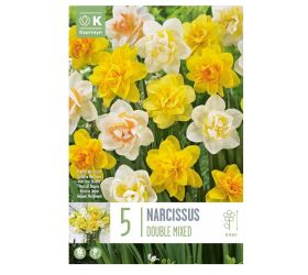 Narcis double mix colours 5ks
