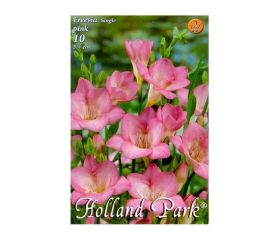 Freesia pink 10ks