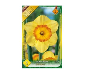 Narcis delibes 5ks