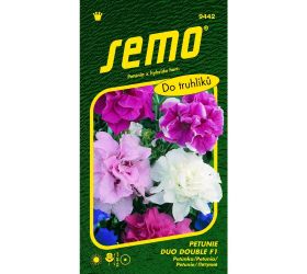 Petúnka mnohokv duo double f1 30p
