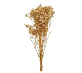 Gypsophila natur preparovaná/zv
