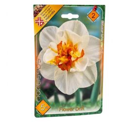 Narcis flower drift 5ks