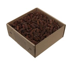 Birch pine/šiška natur 250g.