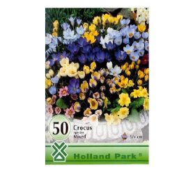 Crocus big pack botanic.mix 50ks