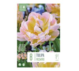Tulipán password 8ks