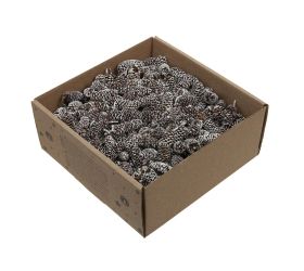 Birch pine/šiška bielená 250g.