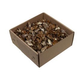 Bakuli zlaté suš 400g